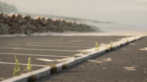 Car Parking on the Beach in California alt