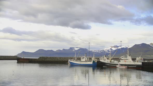 Northern Harbor Port With Fishing And Whale Watching Boats And Little Ships And Snow Mountains