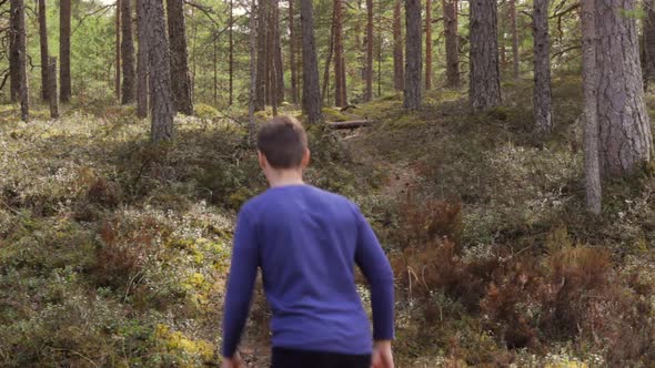 Lonely traveler man walking through magical pine tee forest, back static view alt