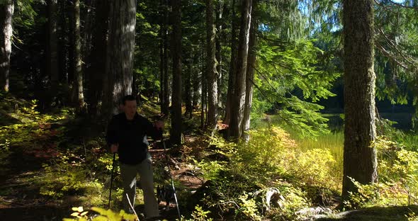 Dog Following Male Caucasian Man With Hiking Poles On Sunny Green Forest Trail alt