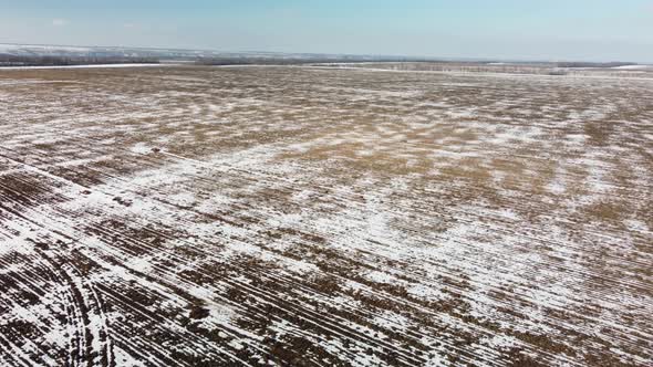 Snowcovered Field View From a Height