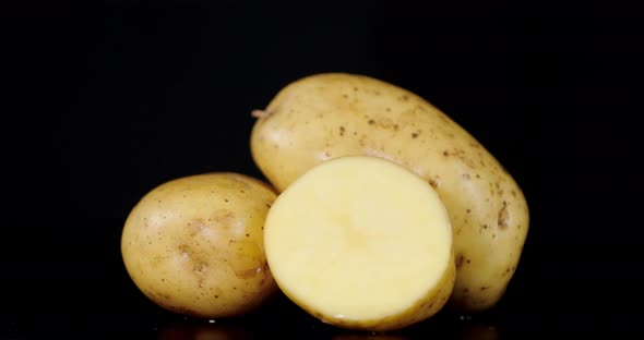Fresh Raw Potatoes Slowly Rotates. 