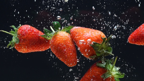 Strawberries splashing into water