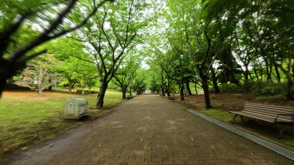 4k Shot of trees and path from the Kasai Rinkai Park in the city of Tokyo, Japan. alt