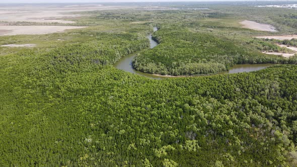High Aerial drone shot of swampy water and Bushland near Lee Point in Darwin, Northern Territory alt