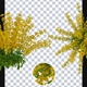 Growing Delphinium Flowers
