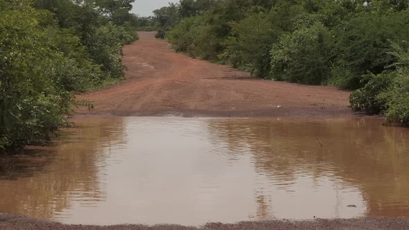 Africa Mali Road Trees And Puddle