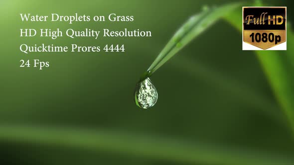 WaterDrop on Grass Loop HD