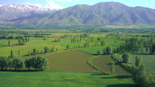 Mountains And Field alt