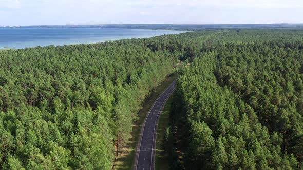 Aerial view of countryside road passing through the green forest.