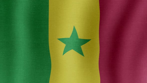 The National Flag of Senegal