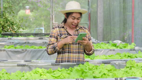 Asian woman gardener owner taking online orders near young lettuces nursery. alt