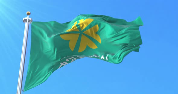 Daejeon Flag, South Korea alt