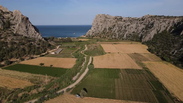 Aerial Farming Field alt