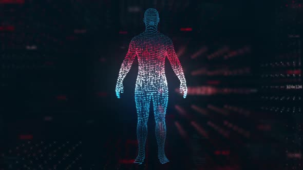 Male Body HUD UI Scan