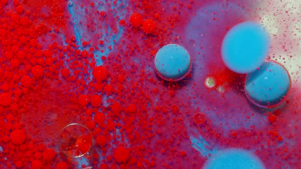 Bright Neon Colorful Bubbles Oil and Ink Acrylic Paint Moving Closeup Wallpaper Background alt
