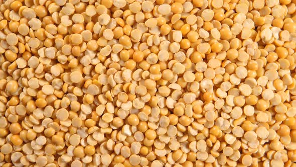 Rotation Of A Dried Yellow Peas (Background)
