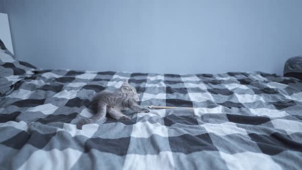 Cat Kid Playing at Home alt