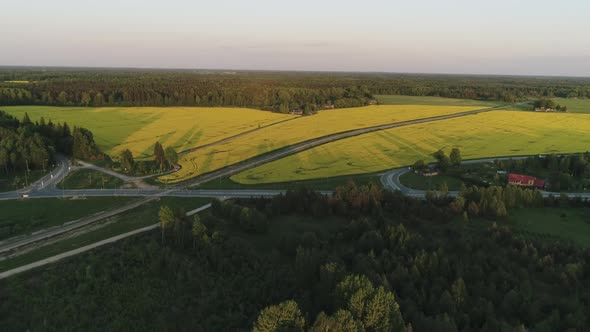 Rapeseed Canola Field Farmland and Forest Aerial View alt