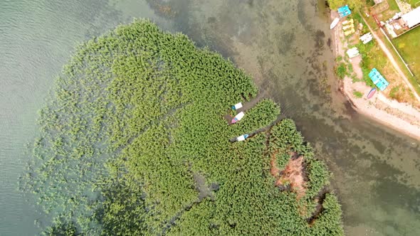 Aerial shot of wild island made of reed and cane in Struga at Ohrid Lake in Macedonia. alt