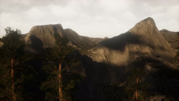 Misty Forest on the Mountain Slope alt