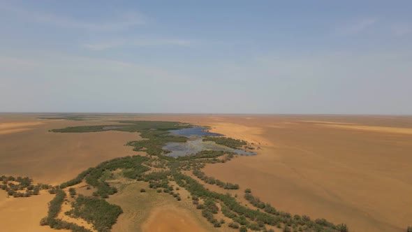 Desert Watering Hole or Oasis in Steppe in Kalmykia Russia