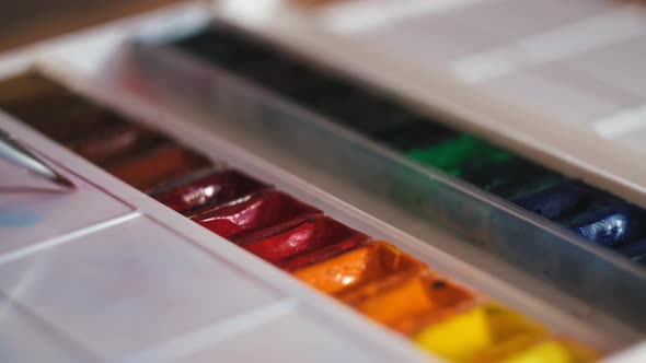 Putting paint brush into colorful oil paints alt