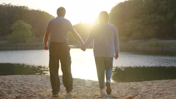 Elderly Couple Holding Hands While Walking Together in Park . Senior Couple on a Walk in Autumn alt