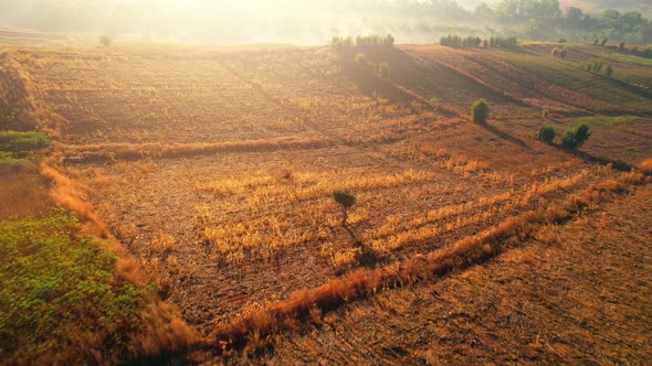4K : aerial view, Drone flying over rural areas in Thailand. Aerial Cinematic clip alt