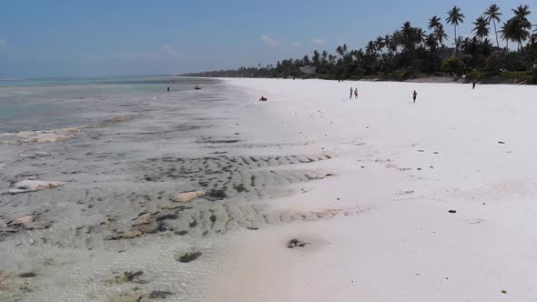 Ocean at Low Tide Aerial View Zanzibar Shallows of Coral Reef Matemwe Beach alt