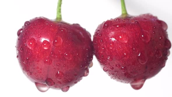 Macro Video Red Cherry Berries in Water Drops on a White Background alt
