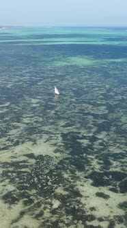 Vertical Video of the Ocean Near the Coast of Zanzibar Tanzania alt