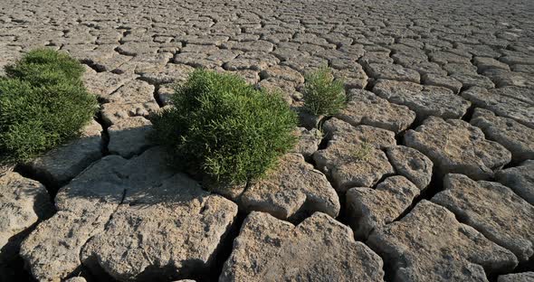 Dryness in the Camargue, France alt