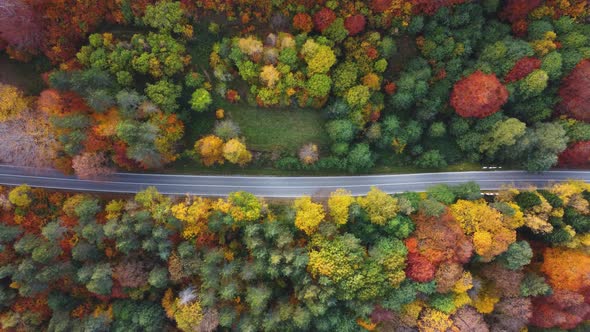 Autumn colors and mountain road aerial view alt