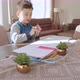 Little Boy Kid Drawing - VideoHive Item for Sale