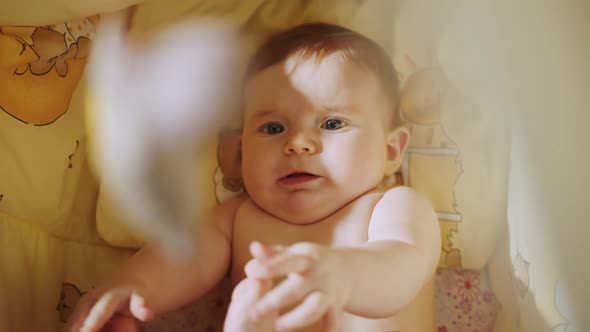 Concept of Childhood New Life alt