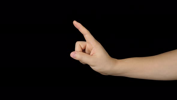 Caucasians Hand Male Pointing With Alpha Channel alt