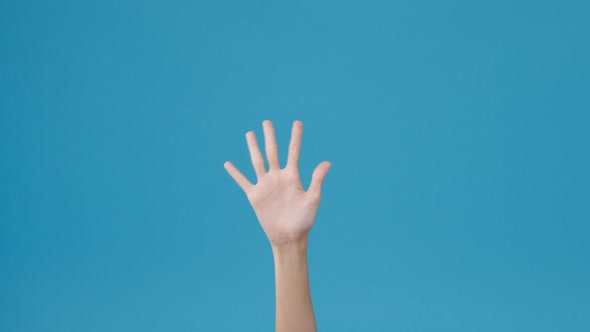 Young woman waving saying greeting, goodbye making hand gestures isolated over blue background.