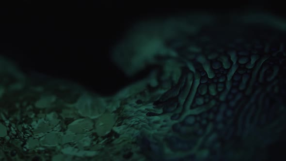 Ferrofluid mixed with a glow stick being moved with magnet. alt