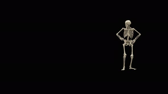 50 Ghost Halloween Dancing 4K alt