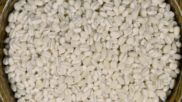 Barley Seeds Bowl Background alt