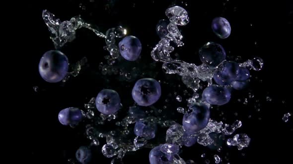 Large Blueberries are Bouncing Up with Splashes of Water on the Black Background alt