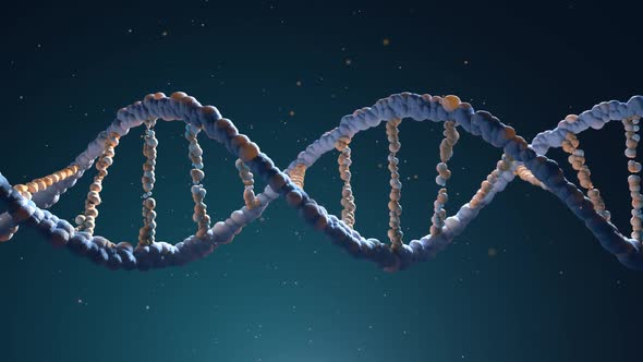 DNA Assembling