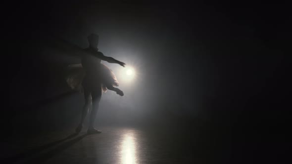 Romantic Professional Ballet Pair Practicing Moves on Dark Stage. Young Couple alt