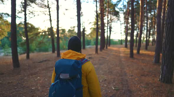 Man Backpacker Walking on Pine Forest alt