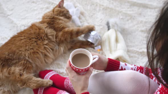 Girl Relaxing and Holds Cup of Hot Cocoa with Maine Coon Cat on Fluffy Blanket Between Christmas