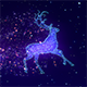 Christmas Magic Reindeer Background - VideoHive Item for Sale