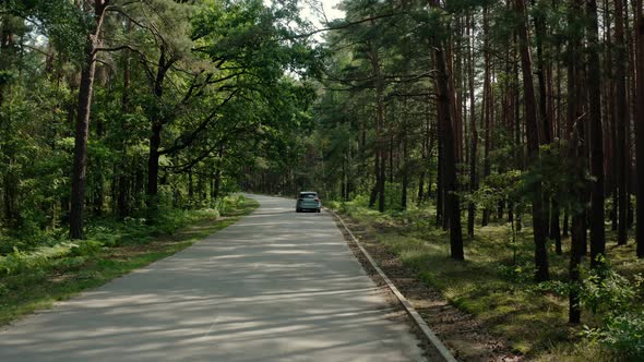 The Car Goes on the Road Through a Pine Forest alt
