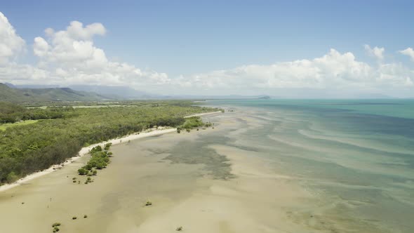 Aerial, Low Tide And Huge Sand Ocean Bed And Mangroves Growing In Queensland Australia