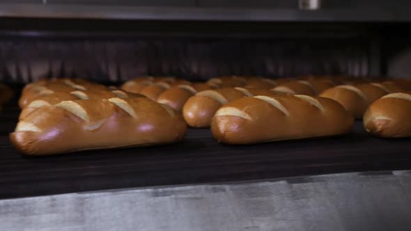 Automated Output of Finished Bread From the Oven